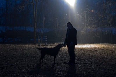 image for Dog Walking in the Dark